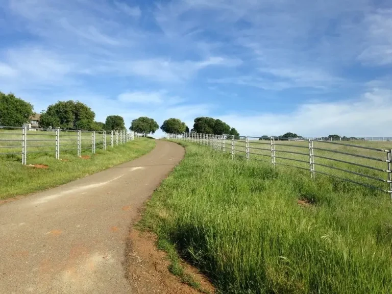A long rural driveway lined with sturdy agricultural metal fencing on both sides, surrounded by green grass and pastureland under a blue sky in Orangevale.