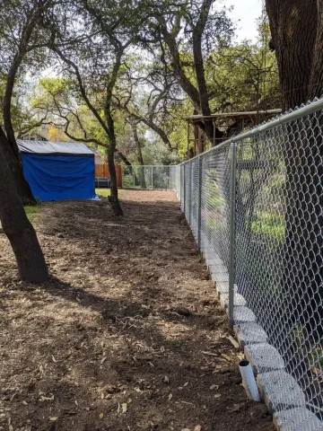 Newly installed chain link fence running through a wooded backyard area in Orangevale, providing property security and enclosure for residential use.