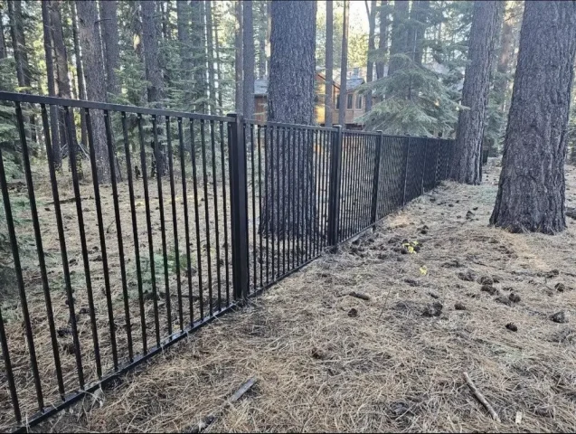 Black iron ornamental fence installed in a wooded forest area near Roseville, designed for security and aesthetic appeal around residential property.